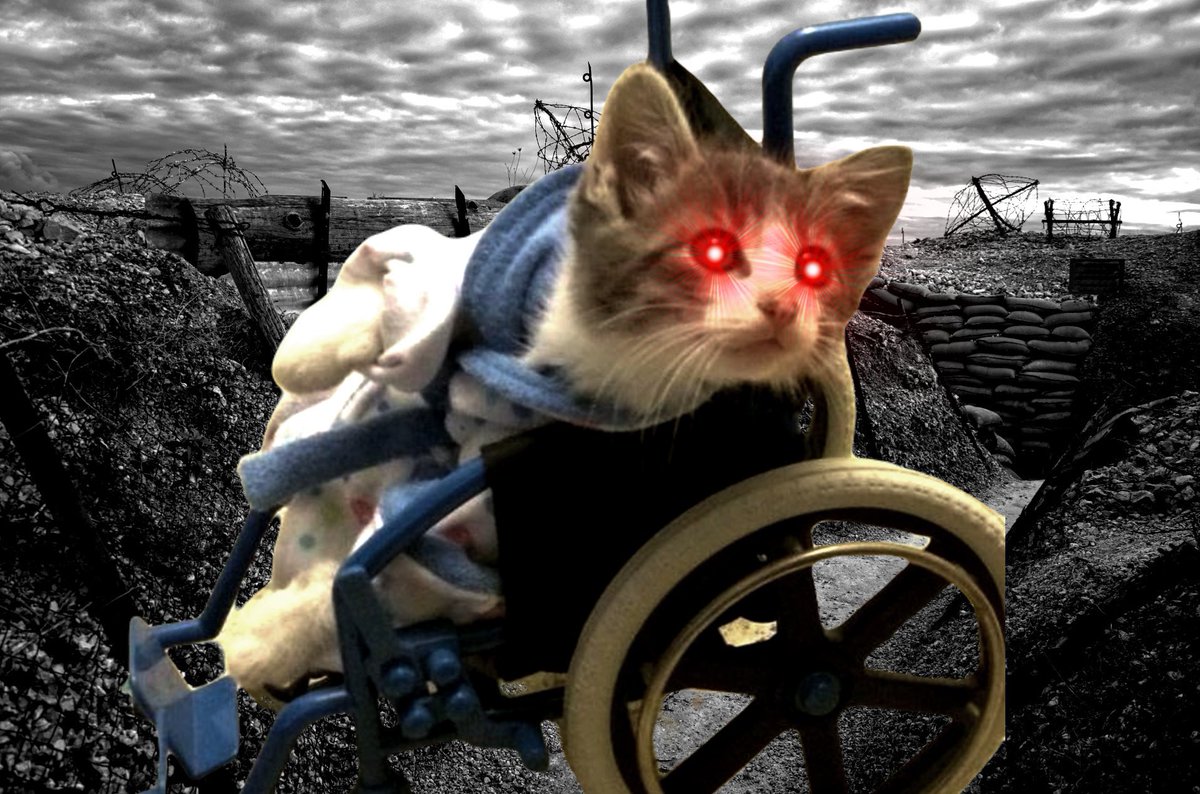 ETHEEEREAL's tweet photo. @JadonNFT $wheelie #wheelie soon  :) https://t.co/7bAkws6dB6