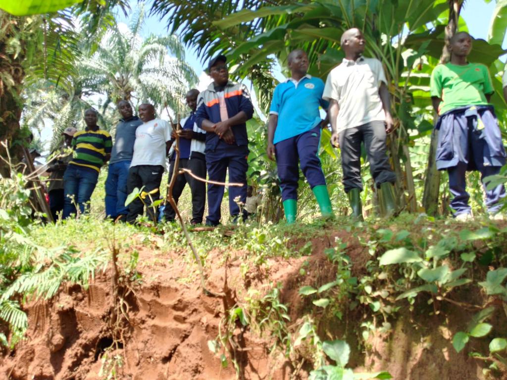 kundiwacu's tweet photo. Kwimba ibarabara #Kigunga_Kirasa ryo ku mutumba #Kanyinya, zone #Matyazo nico gikorwa musitanteri wa komine #Mubimbi #Dismas_Harimenshi afadikanije n'imvukira z'iyo zone baranguriye.
Akaba yahimirije abenegihugu gutera ikawa, amavoka no kwitabira n'ibindi bikorwa vy'iterambere. https://t.co/m1YazuZy6f