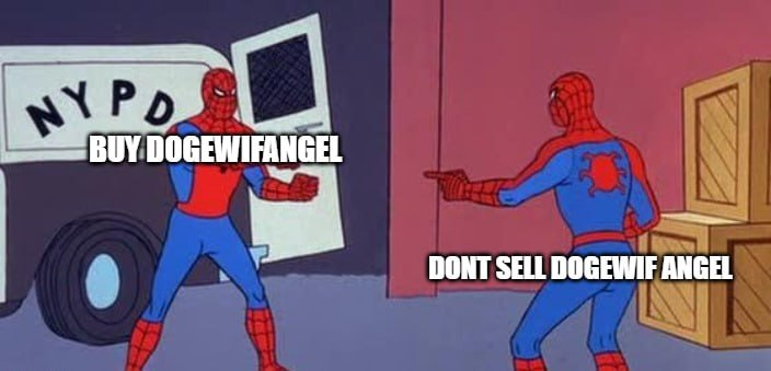 dogeangelerc's tweet photo. @070guy Do only good every day. 

$DOGE $ANGEL https://t.co/SOi6TCj2n5