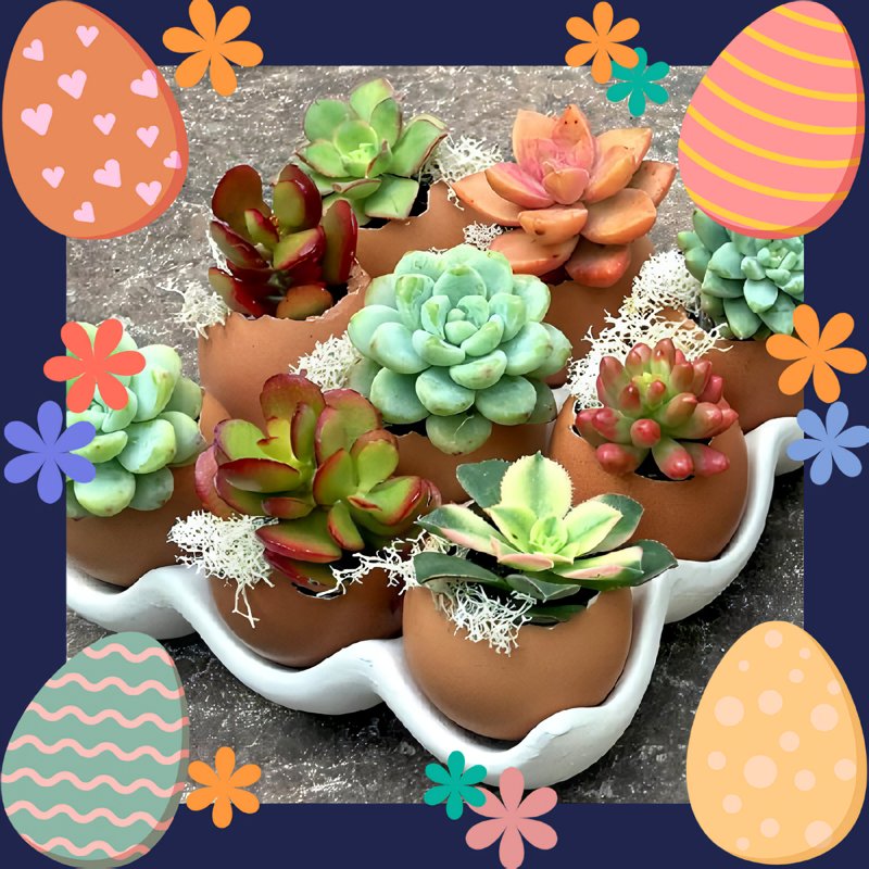howlcaust's tweet photo. ⠀ ⠀⠀⠀[ 🎁: @fluoirescent ] 

- 1 bundle terarium.
- 1 Hiasan dinding. 
- Egg tart. 

Selamat sore, berikut adalah kiriman dari tuan Han Jiho. Semoga anda menyukainya. 🔥

Tertanda,
Eggs-orcist — #mlytfarm https://t.co/YvgCntOph6