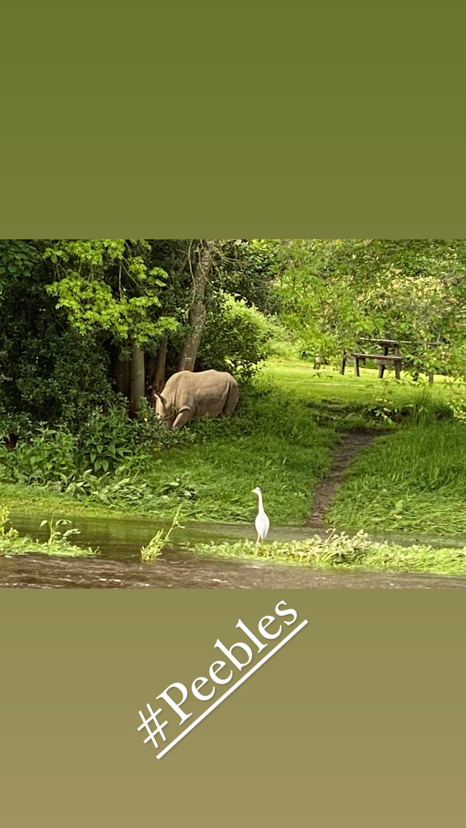 Save the Children Peebles tweet media