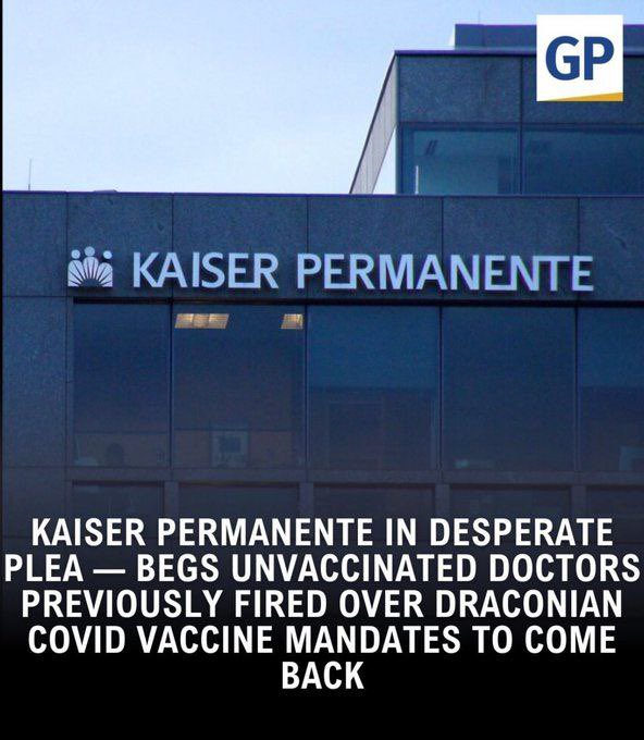 Died Suddenly tweet media