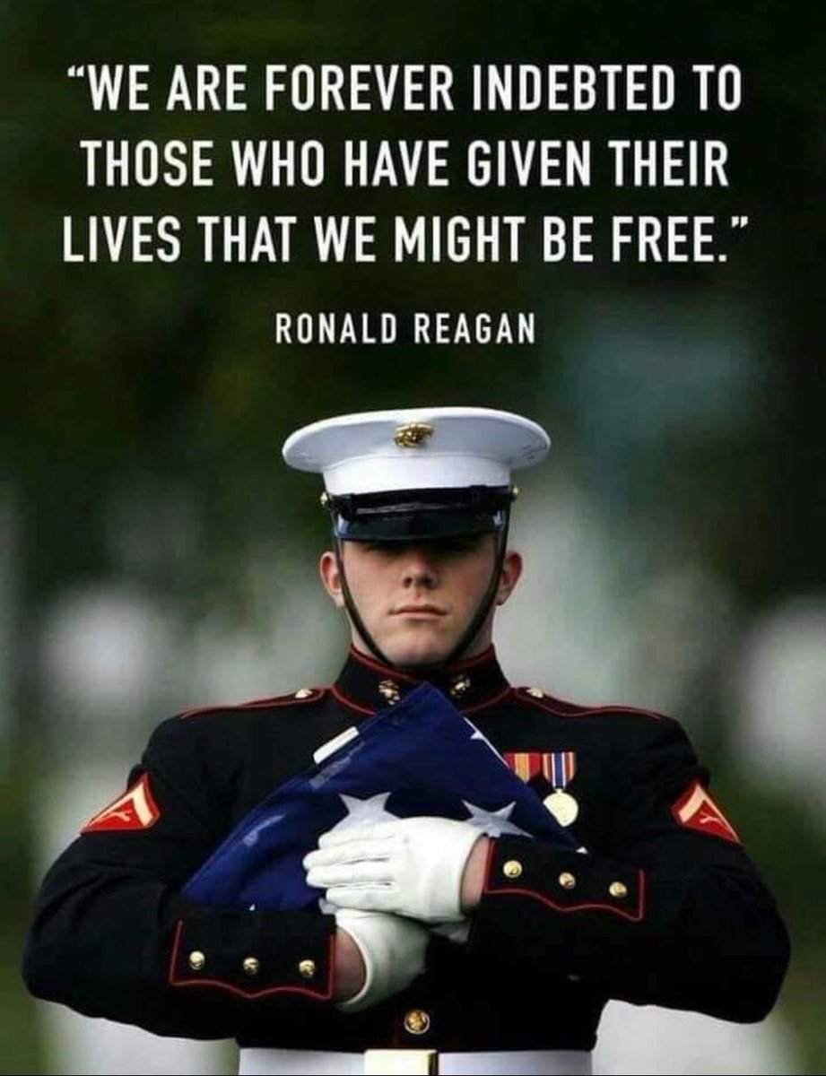 Mike Marlow (@mikemarlow51383) on Twitter photo 