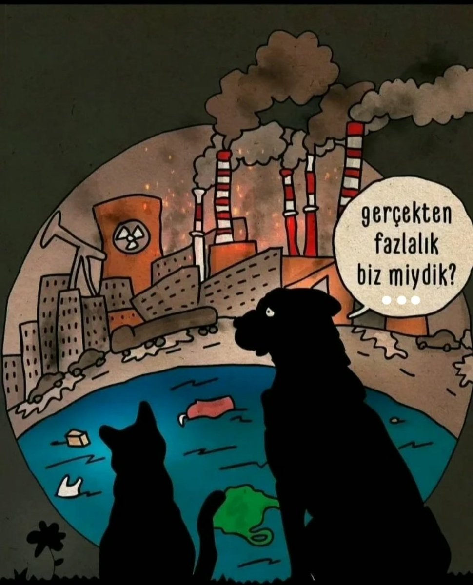 gozesevgi009's tweet photo. https://t.co/ApR5iloAYB