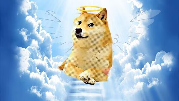 clownworld_2022's tweet photo. We have sadly lost a great meme
RIP Doge
#RIPDOGE #Doge https://t.co/SxwRvjc62v
