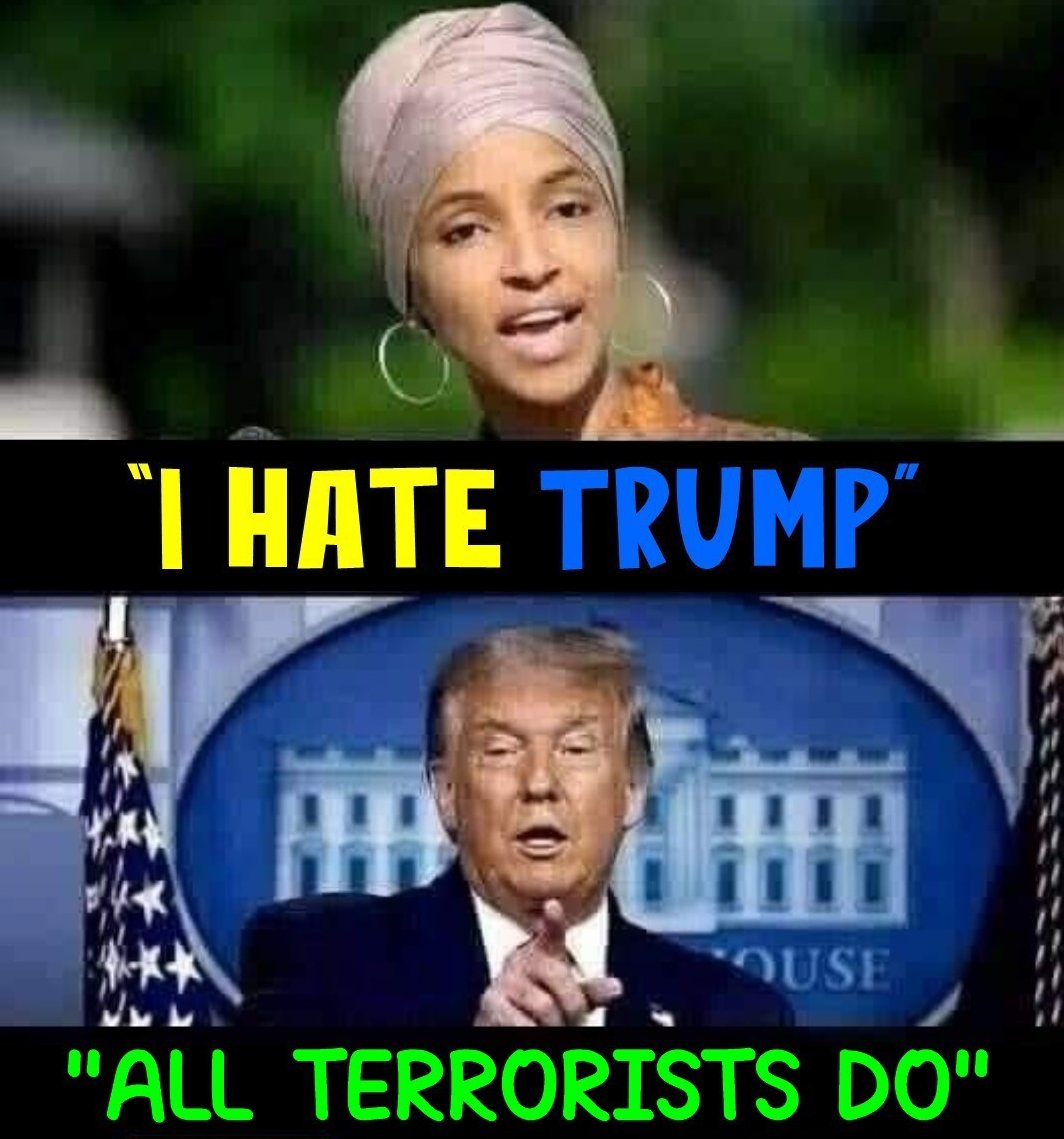 LadyKat47🇺🇸 tweet media