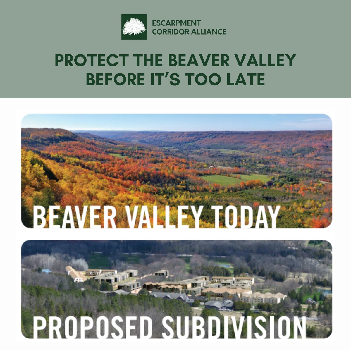 Protect the Beaver Valley before it’s too late!

A Subdivision in the Beaver Valley is harmful to our community heritage, to our natural environment and goes against everything that the Niagara Escarpment Plan stands for!

Register for the public meeting: us02web.zoom.us/webinar/regist…