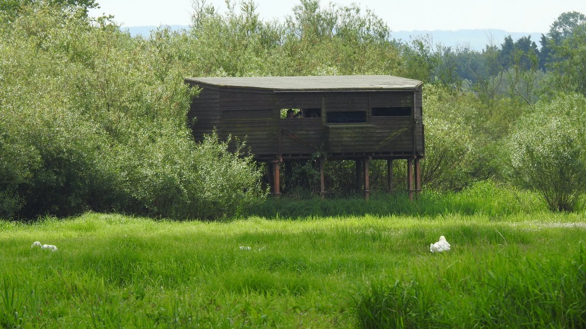 Obviously the temp hide closure rules not applying to photlographers. @gloswildlife #Glosbirds