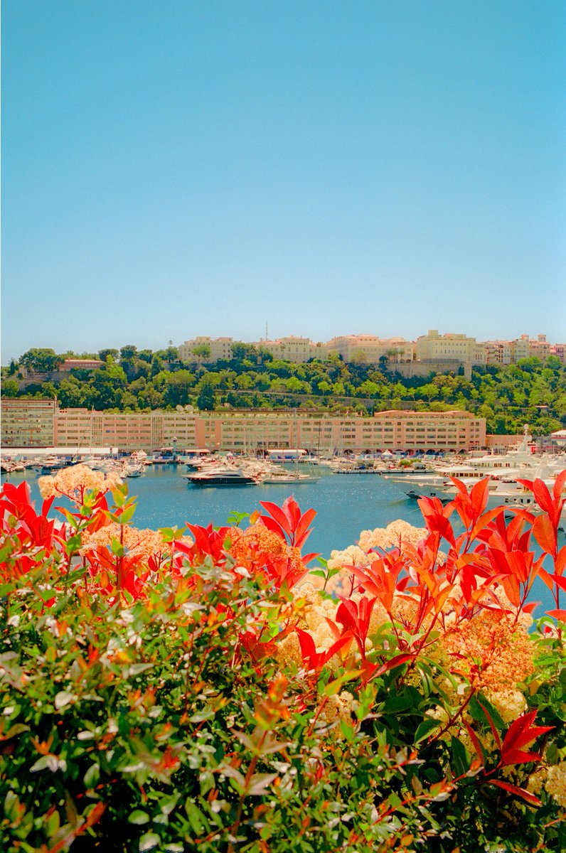 AlexKittoe's tweet photo. A day in Monaco on 35mm 🎞️ https://t.co/dUqbwwEXIM