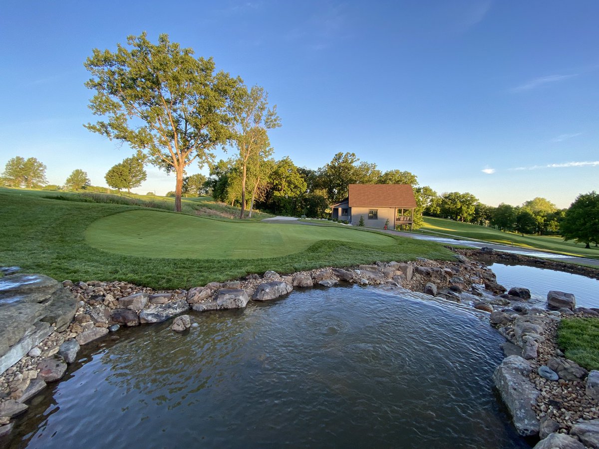 Bill Irving tweet media