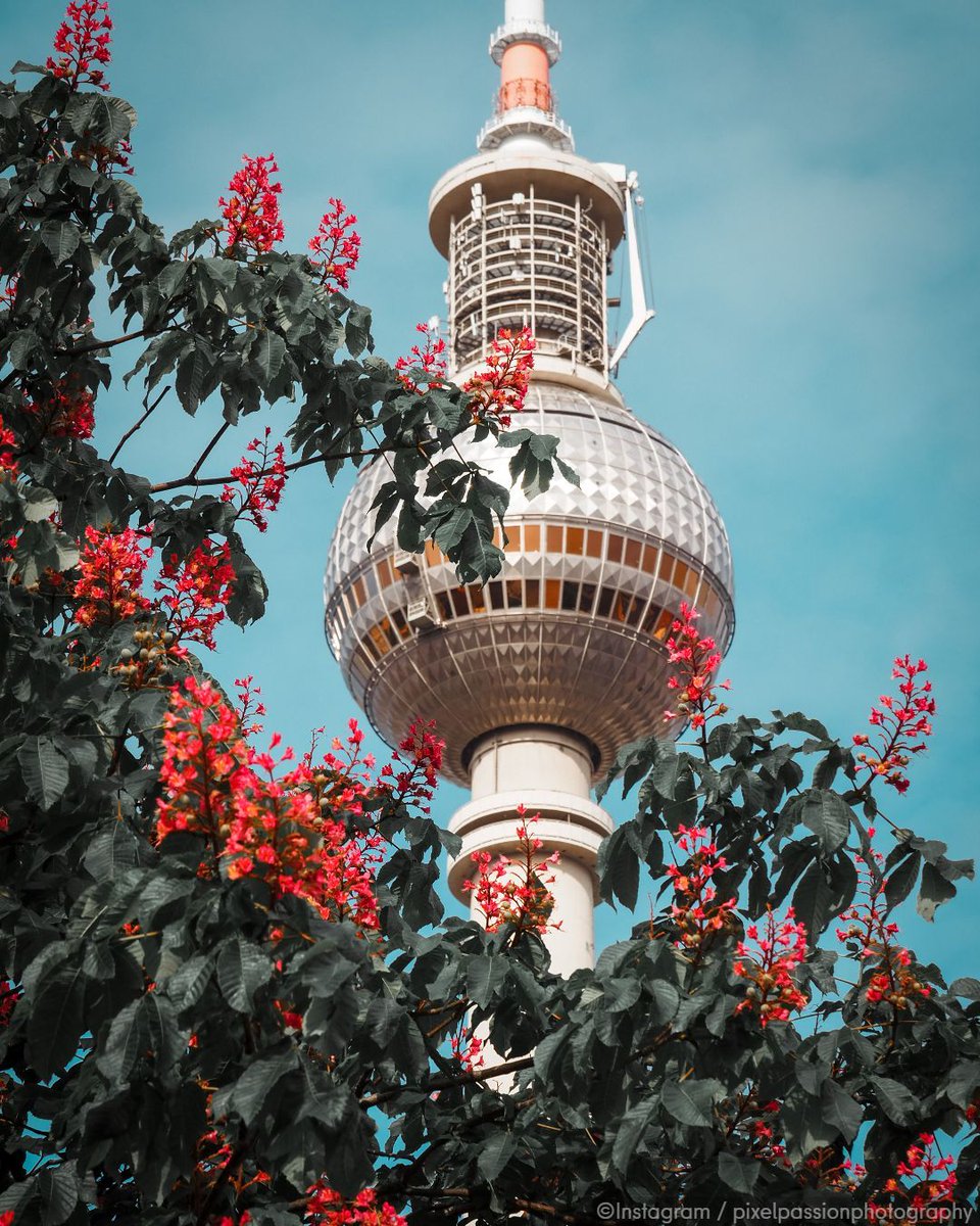 Our beautiful TV Tower in a summer setting ❤️ 😍 🌺 

📷 Instagram / pixelpassionphotography

#visitberlin #berlin