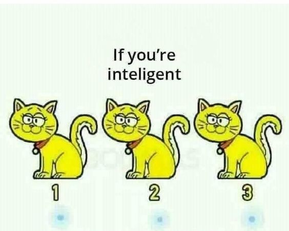 Global_Folder's tweet photo. Which cat is different https://t.co/jaBw0qRHPh