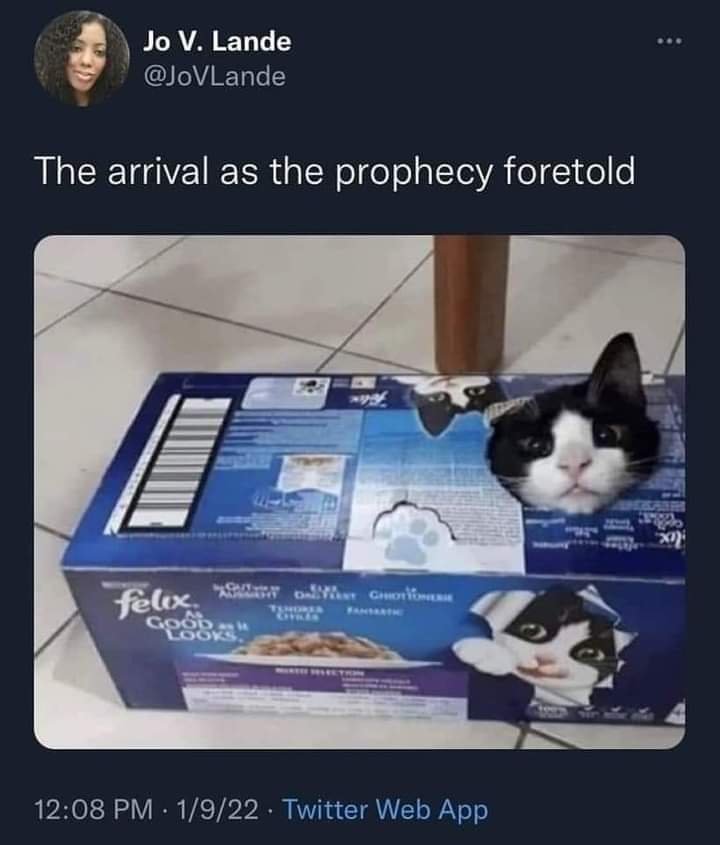 Justin Hammer (@justinhammer3) on Twitter photo 