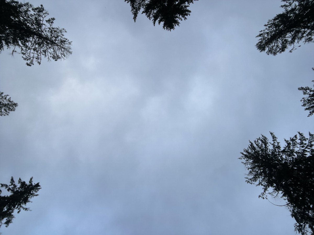 Jeff Patterson tweet media