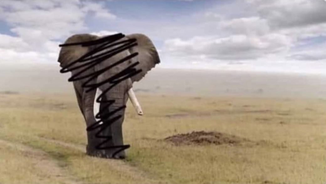 MarktMatts's tweet image. If anyone can guess the animal 
In this photo I’ll go to the gym!