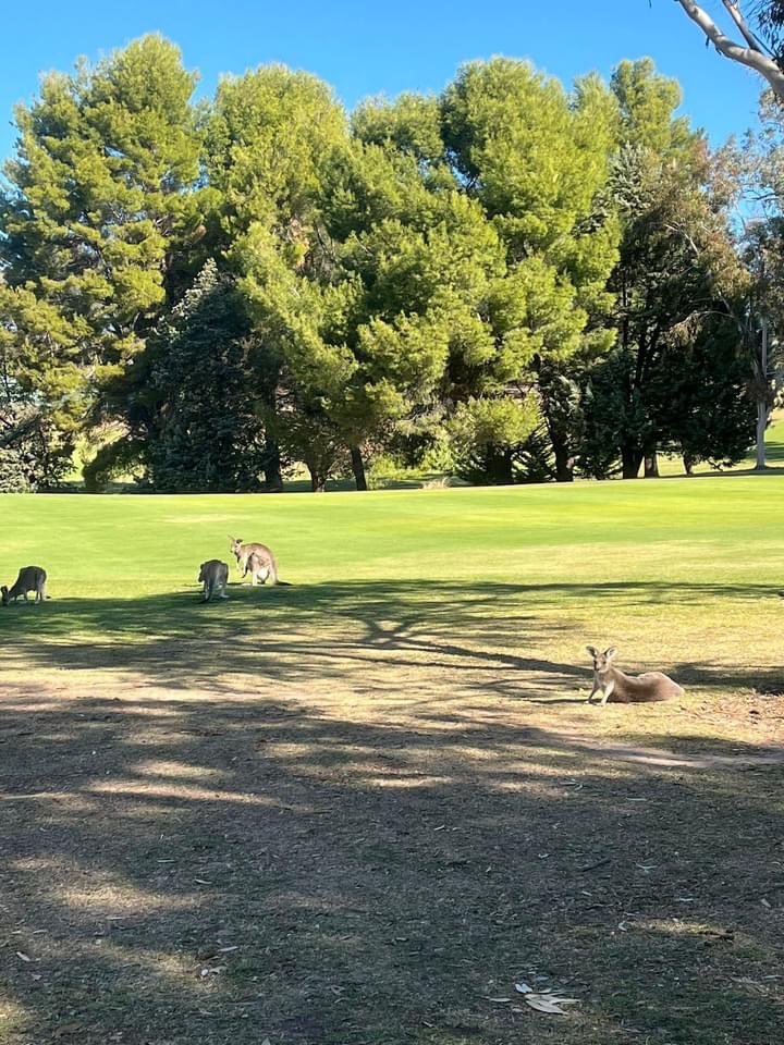 ad_assist's tweet photo. Experiencing an illness or injury while abroad can be daunting, but hearing your native language can provide much-needed comfort. A Spanish-speaking medic was required, and we were more than happy to assist! From Albury, Australia, all the way back to their front door in London. https://t.co/sTpnscLuRe