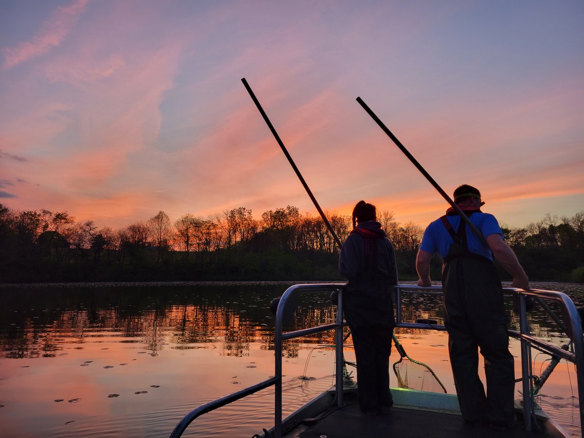 ohiodnr's tweet photo. Thanks to our @OhioDivWildlife fisheries staff who conducted a black bass electrofishing survey at Oakthorpe Lake Fishing Area. Learn more about our fish management practices here: https://t.co/m3UQlzbP9b πΈ: Nick Radabaugh
#odnr #fishsurvey #fishmanagement https://t.co/NX0Xb35K0Z
