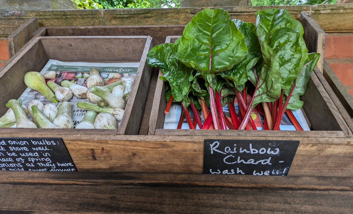 Amazing Spring Green, Asparagus,Red Chard , Radish and fresh herbs for sale from @nationaltrust Tyntesfield Kitchen Garden today. #EatTheSeasons🧑🏻‍🍳 @LoveBritishFood ❤️🇬🇧