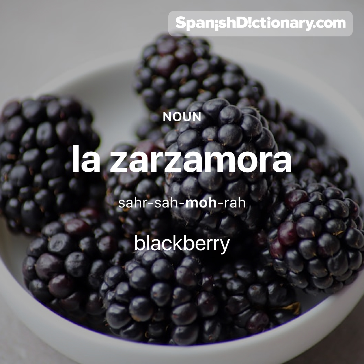 Today's #WordOfTheDay is 'zarzamora.' 🍇 For example: Prefiero las zarzamoras a las frambuesas.  - I prefer blackberries to raspberries.
.
.
.
#EstudiaEspañol #StudySpanish #AprendeEspañol #LearnSpanish #Español #Spanish #LearningSpanish #PalabraDelDia #zarzamora #raspberry
