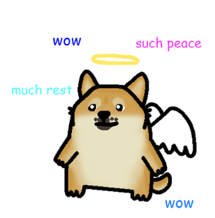 dogeangelerc's tweet photo. DOGE ANGEL HEAVEN MISSION STARTED.

$DOGE $ANGEL https://t.co/bMIYZiFycA