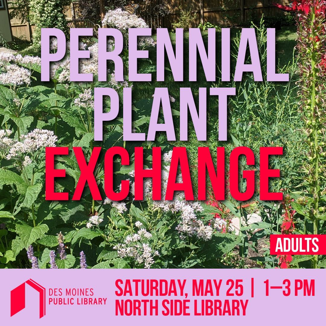 The Perennial Plant Exchange is happening TODAY at the North Side Library from 1-3 PM. Even if you don't have plants to share come anyways. Everyone is welcome: dmpl.org/event/perennia…