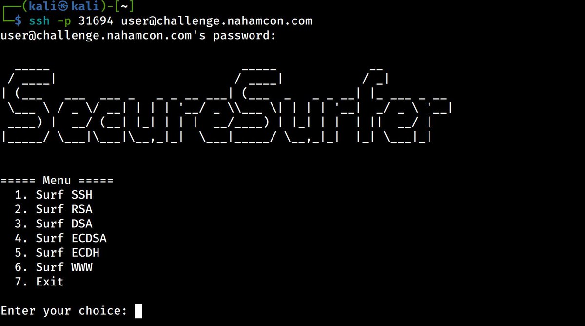 The dev tech influencers were right!!!1!! SSH for everything REALLY IS the future!!! With SecureSurfer, a Miscellaneous challenge for NahamCon2024 CTF, you can surf the world wide web... all through your terminal! Capture the flag at #NahamCon2024 CTF jh.live/nahamcon-ctf