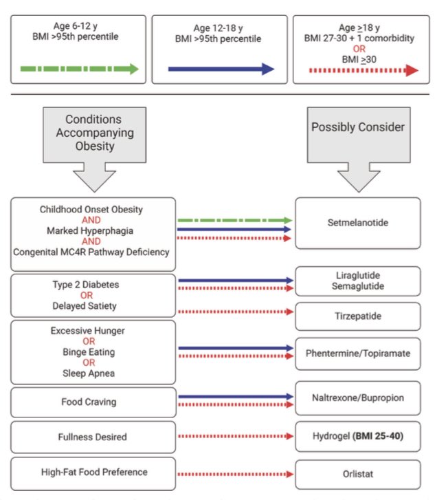 تساعد أدوية علاج #السمنة في التحكم بوزن الجسم وفي الحد من مضاعفاته بمشيئة الله تعالى.
مقال مفيد للممارس الصحي يلخص أهم أدوية علاج السمنة وكيفية اختيار الأنسب منها حسب حالة الشخص الذي يعاني من السمنة.  
nature.com/articles/s4138…