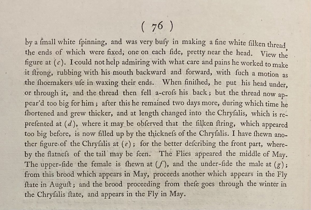 ‘I received from the Rev. Mr. Ray, of Redland, near Bristol, a box containing twelve Swallow-tailed Caterpillars …’ Moses Harris, ‘The Aurelian: or, natural history of English insects’ (London, 1766). MH.8.13 @theUL
