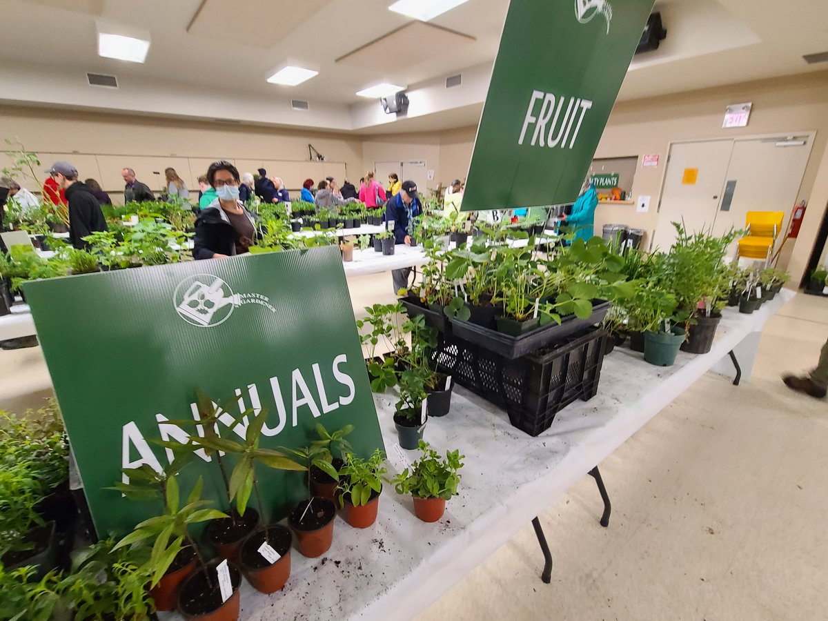 TheGrand101FM's tweet photo. Guelph's Largest Annual Plant Sale is on now until 1pm indoors at the Guelph Legion!

There are native plants for sun or shade, plants for pollinators, garden perennials, vegetable seedlings, house plants, and more! 🪴🏵🌼🌸

@PollinateGuelph @NatureGuelph @EnablingGarden https://t.co/wh4OHeU6wi
