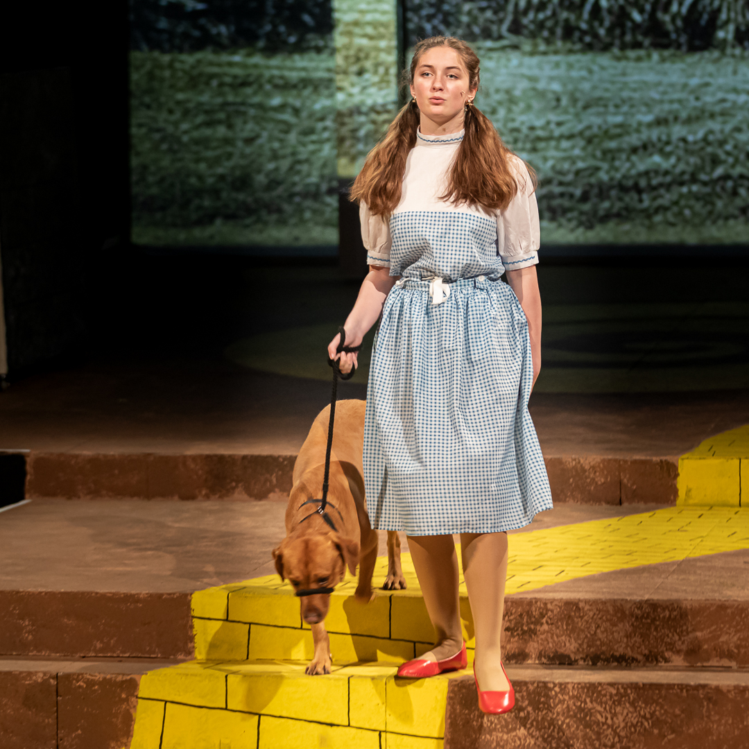 AmpCollArts's tweet photo. Huge congratulations to the cast and crew of this year's Exhibition Play 'The Wizard of Oz' for a successful run of performances. Amazing achievement for such a young cast. @AmpleforthColl https://t.co/E4CN6PTmim
