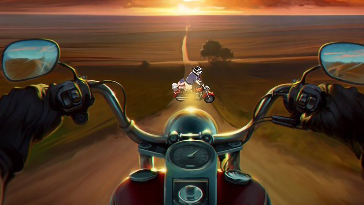 MOTO DOG $TOBI (@tobimotodog) on Twitter photo 