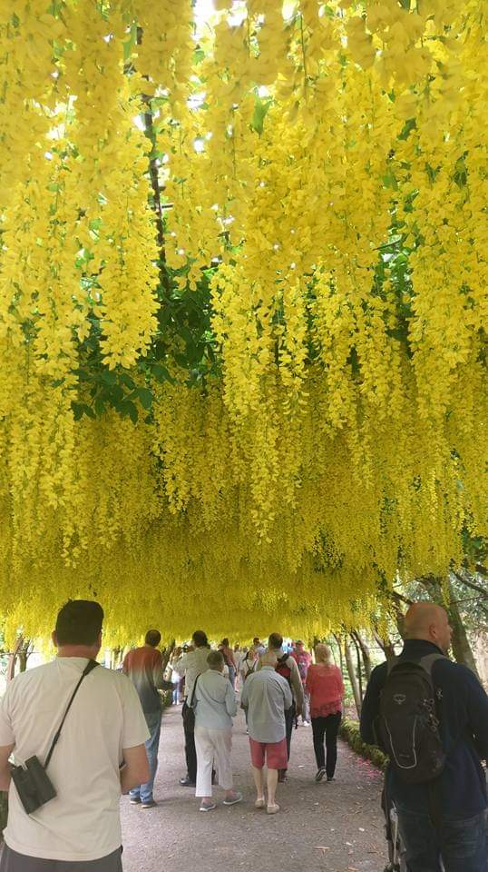 The Groes Inn tweet media