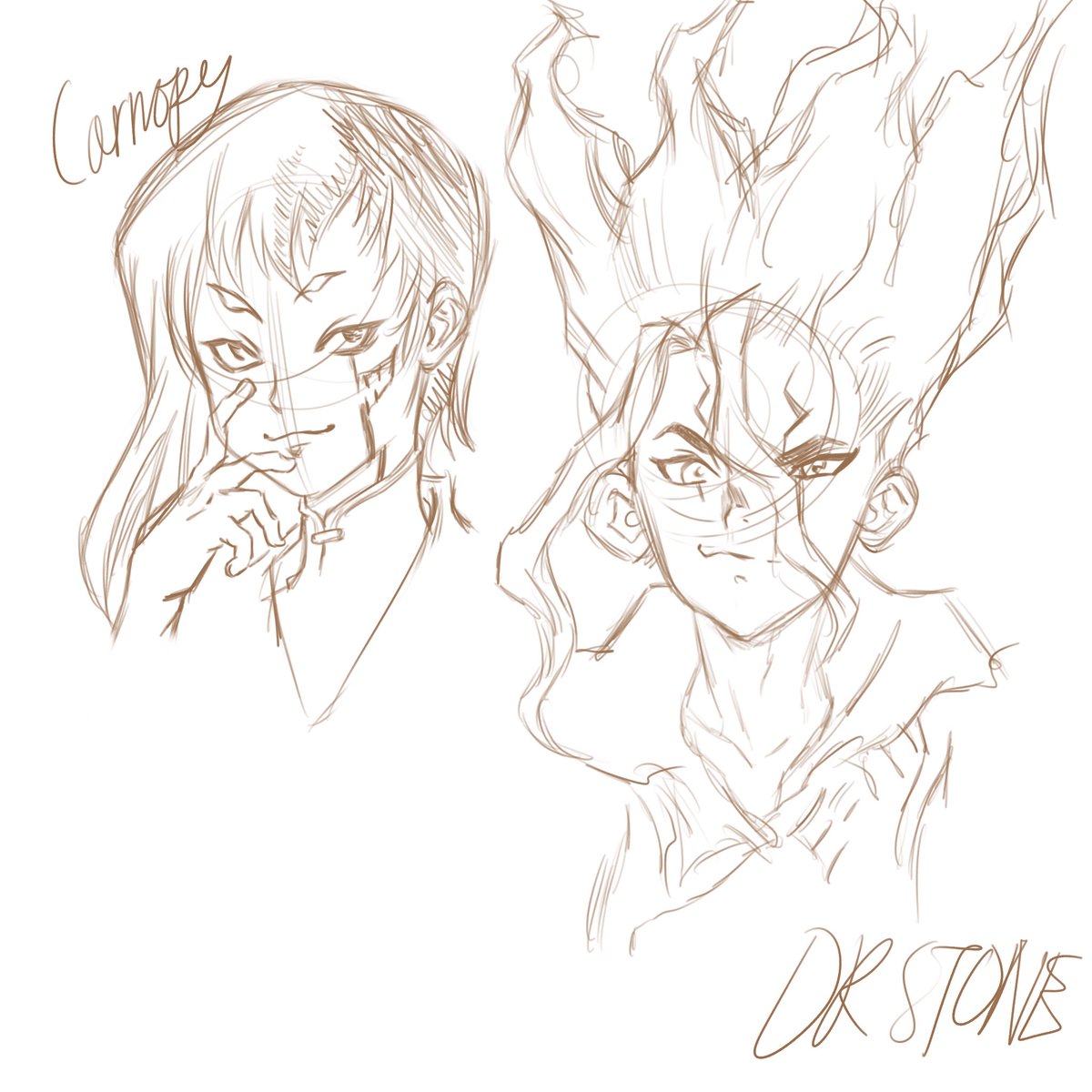 Carnopy_Felix's tweet image. #DrSTONE sengen sketch