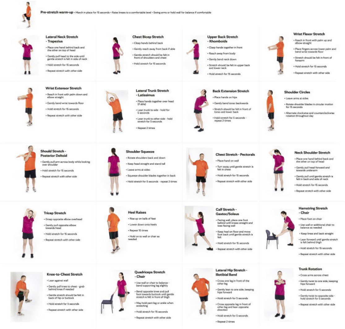 Results of STRETCH Trial: 15 min Daily Stretching to Reduce Pain-Related Disability Among Echocardiographic and Interventional Laboratory Employees—A Pilot Study @MyJSCAI @BrendenIngraham @rajivxgulati @pattypellikka @mandeep_mayo jscai.org/article/S2772-…