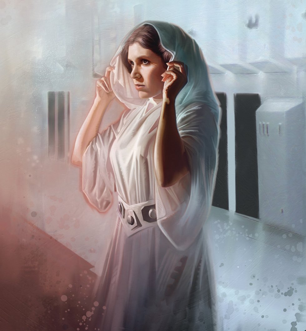 ✨ 30 DATOS Y CURIOSIDADES SOBRE LEIA ORGANA ✨que (tal vez) no conoces.

‼️ En este hilo hay spoilers de las novelas ‘Leia: Princesa de Alderaan’, ‘La Princesa y el Sinvergüenza’, ‘Linaje’ y algunos cómics.