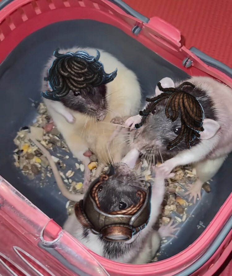 live footage of game 10