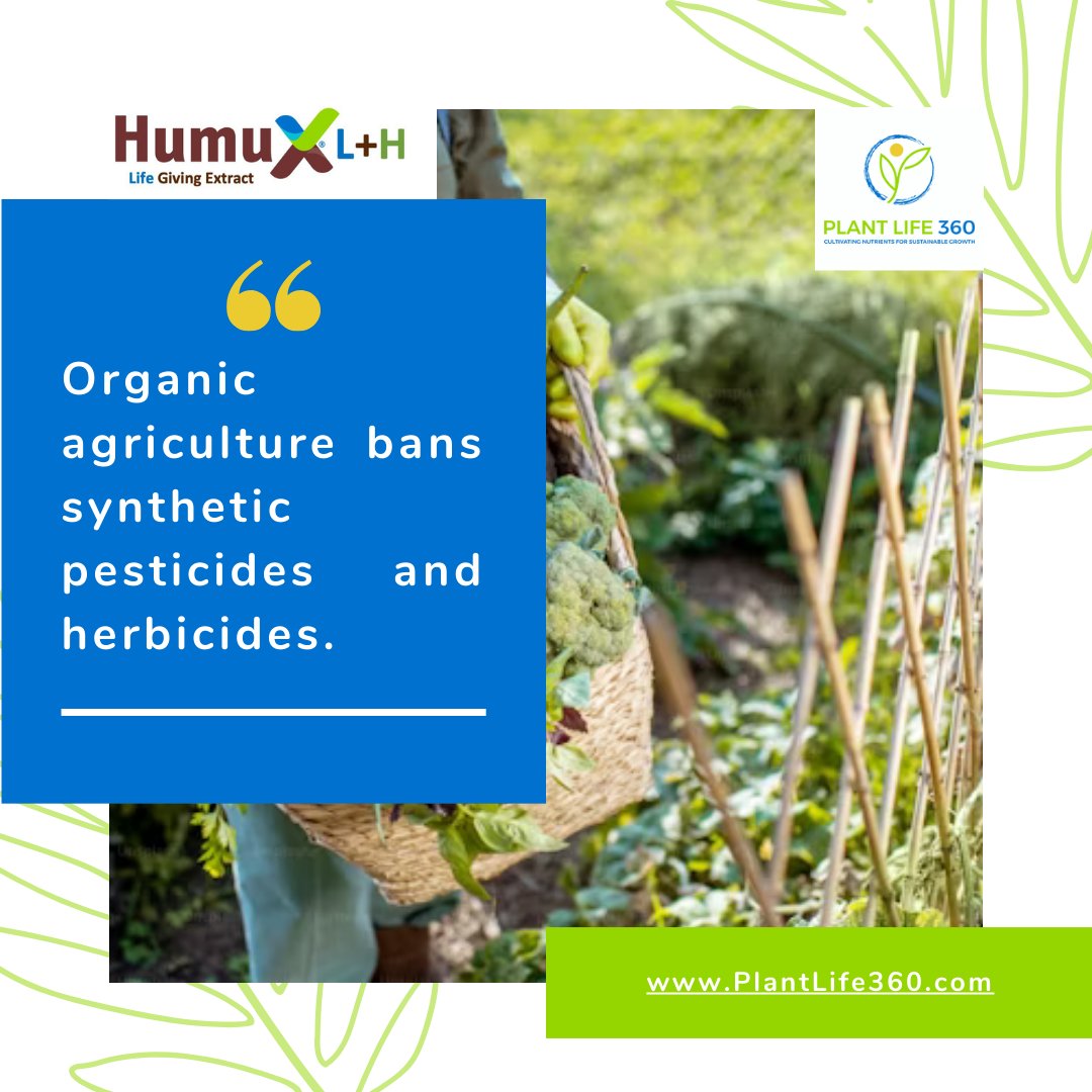 PlantLife360 tweet media