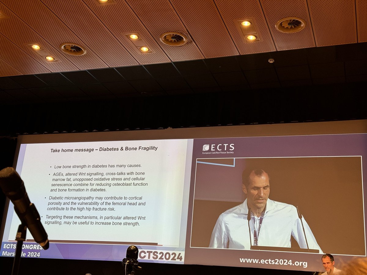 Take home message from Lorenz Hofbauer’s talk : don't forget the microvasculature system in bone, and even more so in fracture repair.#ECTS2024 #ECTSacademy