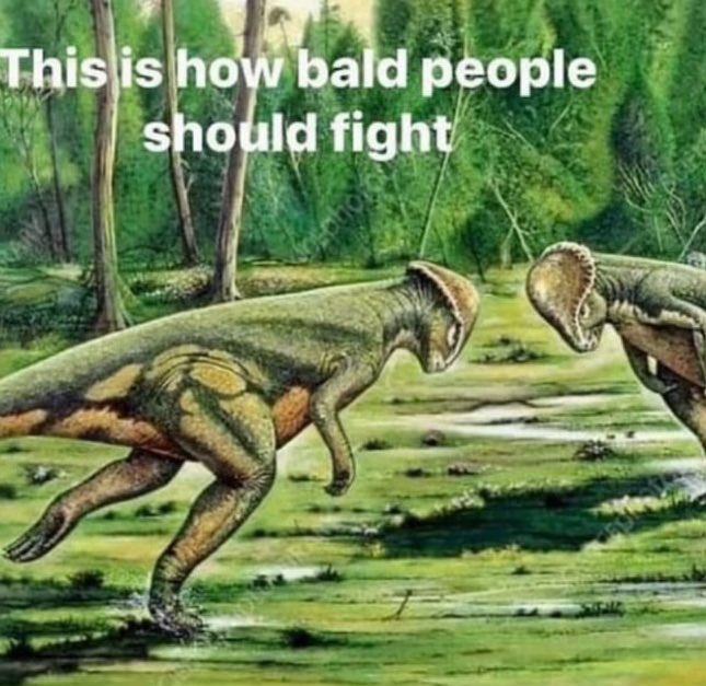 STRANGE JOY tweet media