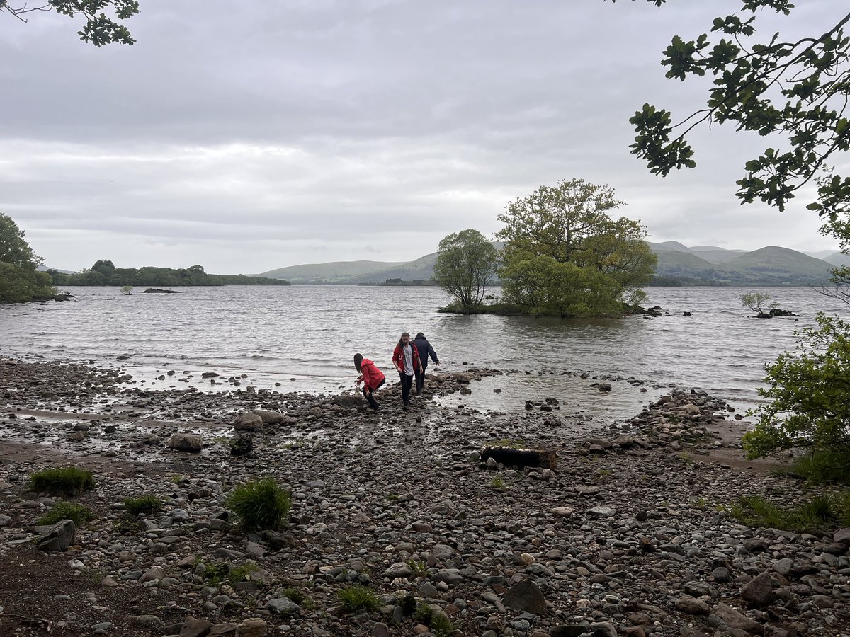 Andy Wake tweet media