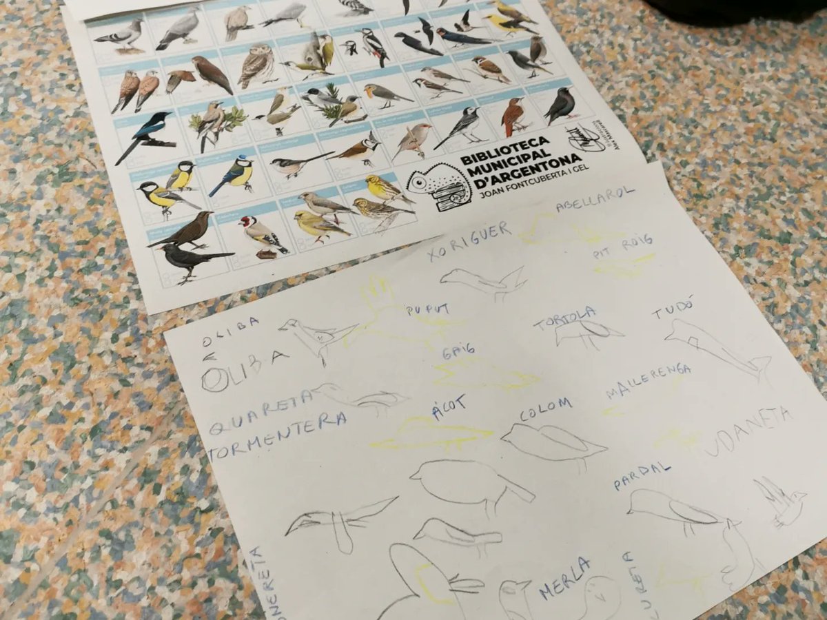 GemmaBravoG's tweet photo. Futurs referents de la il·lustració científica https://t.co/8qPpOYUzL9