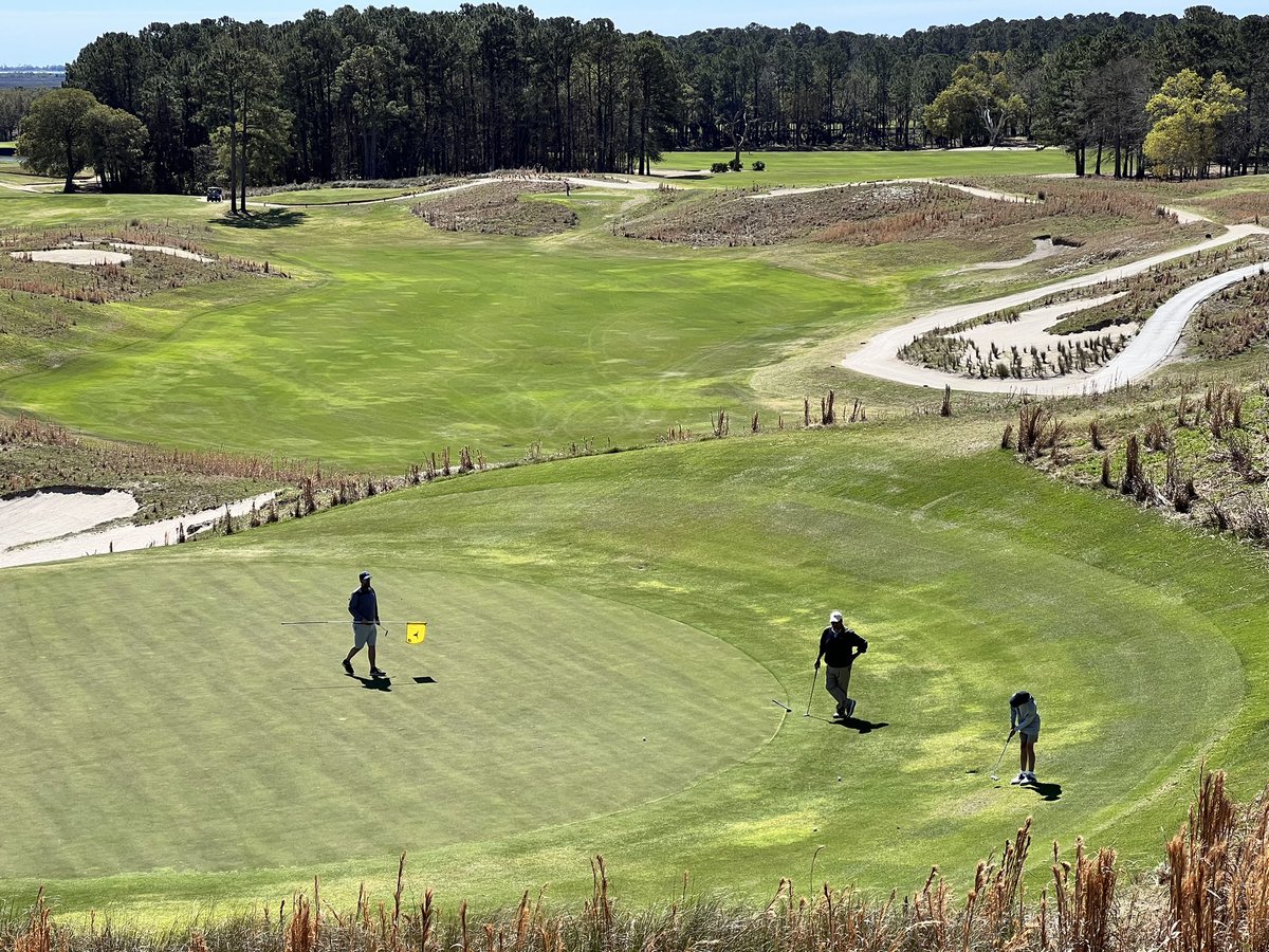 Vereens Turf Products tweet media