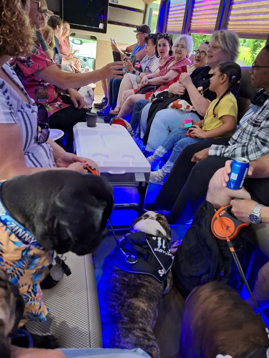 LET'S GET THIS PARTY STARTED🎉...ON THE LIMO BUS!! #Bullybash2024 @BullyBashCLE #puglife #dogsoftwitter #dogsofx #WeekendVibes #PartyTime #Cleveland