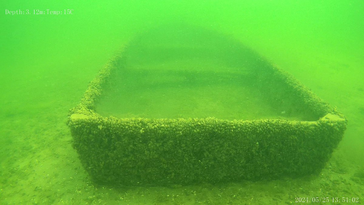 HydroneIRE's tweet photo. You just don't know what you will find when your exploring with an Underwater Drone 👍 eel's are very curious of the drones 😆 Go to https://t.co/8Oq96gqjqE to see the training @KeenaPhilip can provide to get you exploring under the surface!! #research #recreation #exploring https://t.co/cTVQVLzsWy