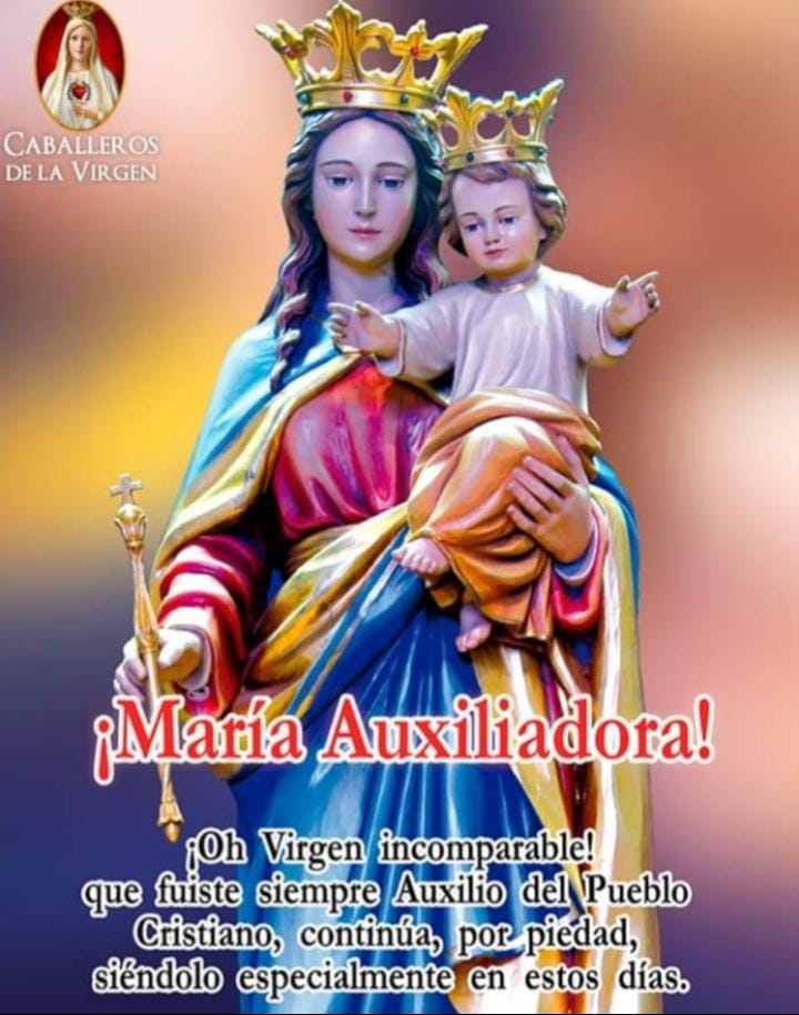 Madre, Auxilio de los cristianos, ruega por nosotros. (24/5/24) #AdvocacionesMarianas #IglesiaCatolica