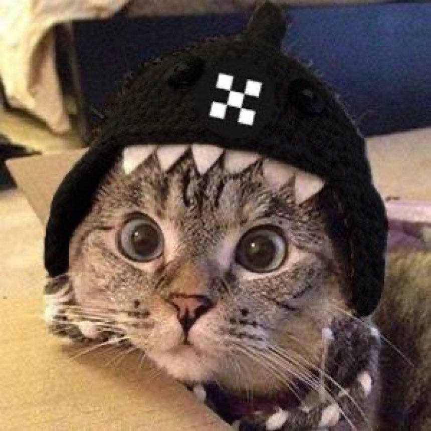 i just entered
x.com/i/status/17944…