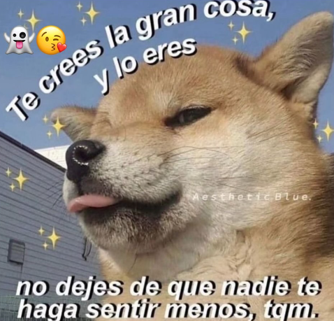 nacional_memes's tweet photo. 🐶 https://t.co/vOP0XYWwgh
