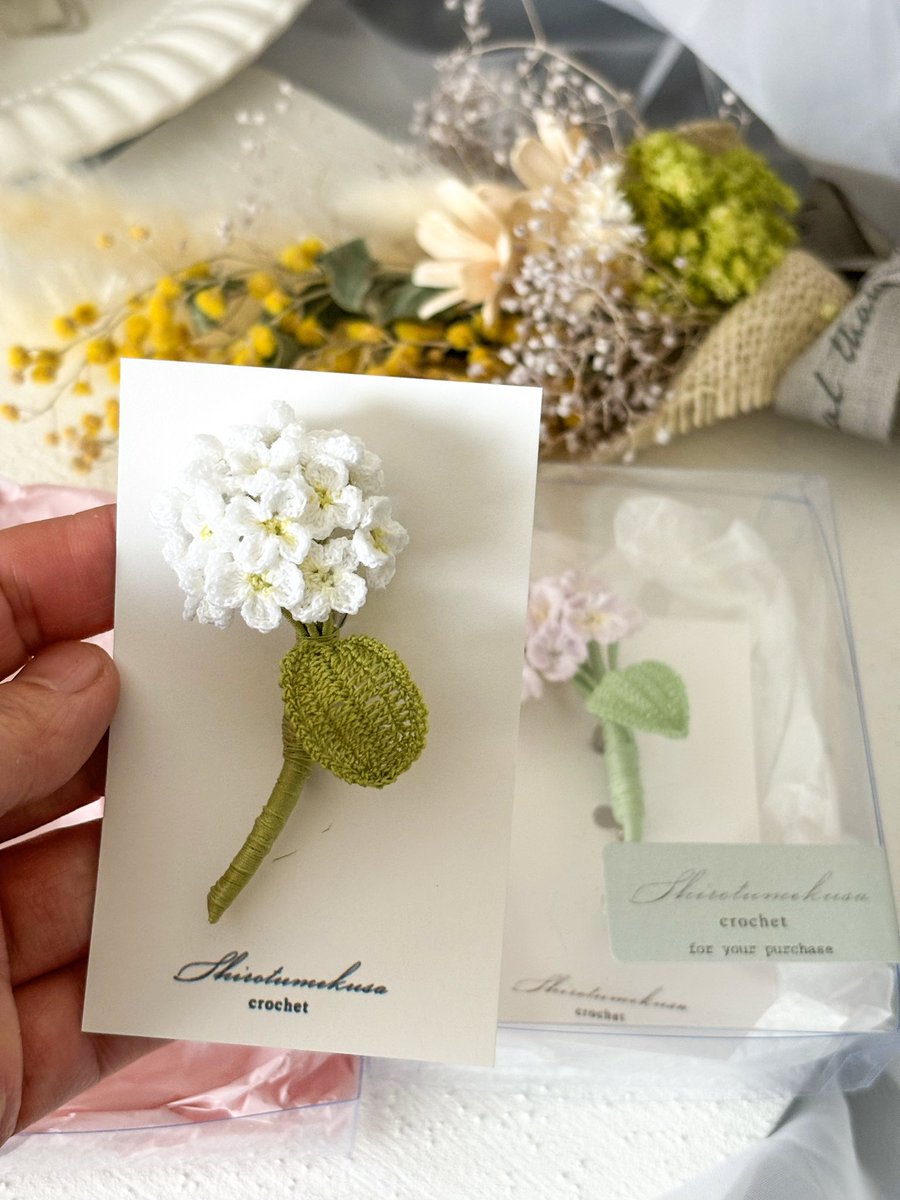 ⁡ 通勤で通るおうちに毎年綺麗に
咲き誇る紫陽花
昨日もそのおうちの前を通りましたが
今年もいっぱい新芽が付いてました
咲くのが楽しみだな😌
⁡
極小レース糸で編んだ
あじさいのコサージュです

#極小レース編みアクセサリー 
#手仕事 #レース編み