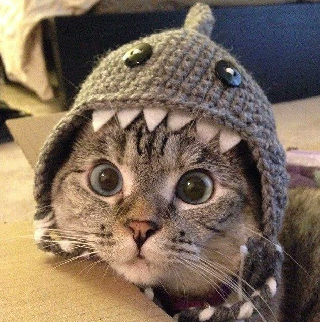 i just entered
x.com/i/status/17944…