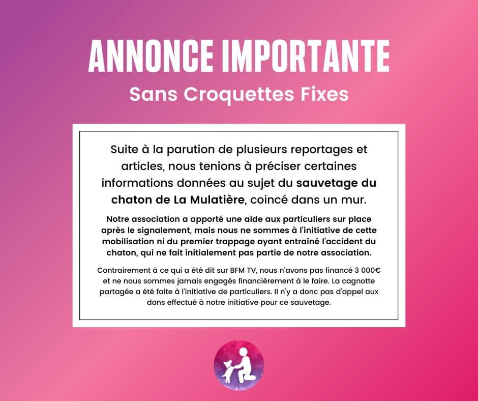 CroquettesFixes's tweet photo. @BFMLyon Suites aux articles sur le sauvetage du chaton dans le mur, quelques mauvaises informations circulent, nous voulions rétablir la vérité : https://t.co/cIjQO2ywK9